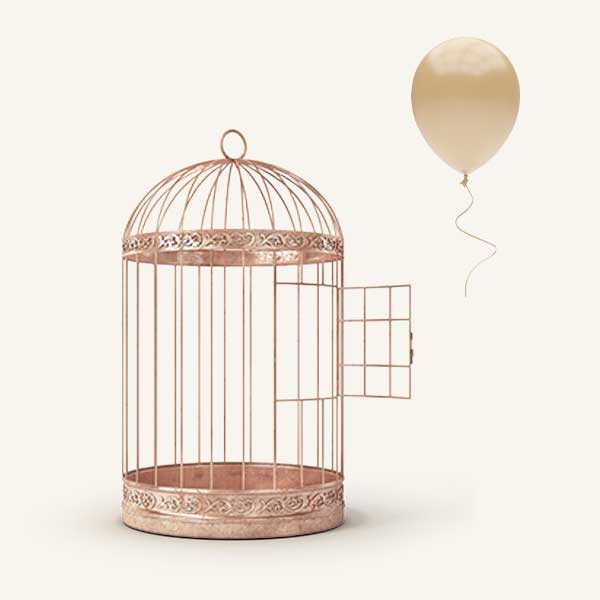 The Donors' Fund Cage Balloon